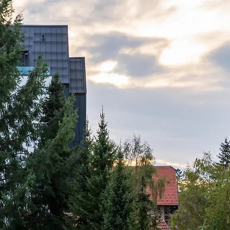 Blue-angel-lux 兹拉蒂博尔